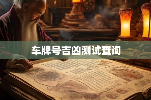 车牌号吉凶测试查询 车牌号吉凶测试查询