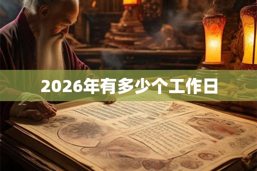 2026年有多少个工作日 2026年有多少个工作日