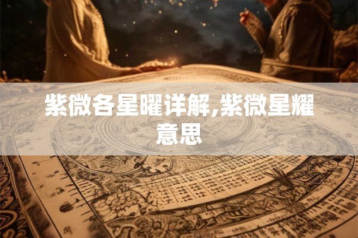 紫微各星曜详解,紫微星耀意思