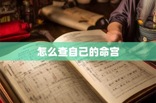 怎么查自己的命宫