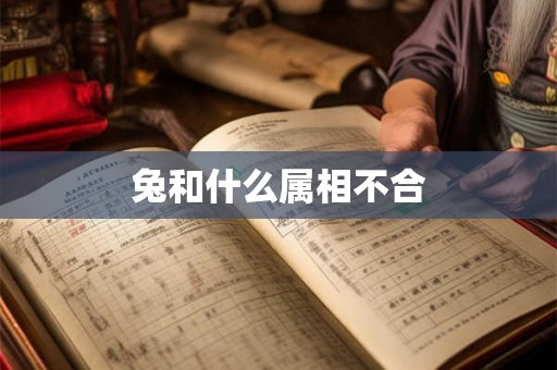 兔和什么属相不合