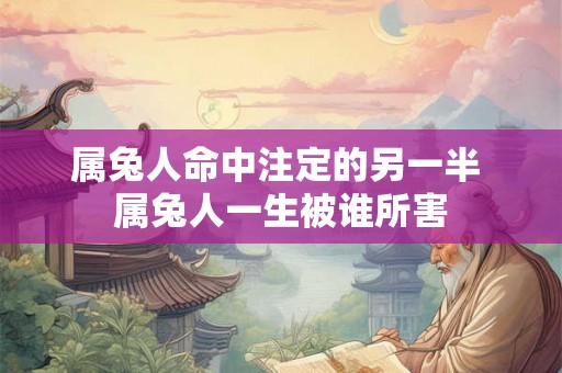 属兔人命中注定的另一半 属兔人一生被谁所害