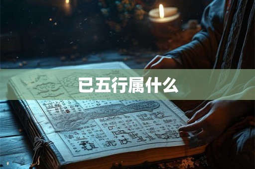 已五行属什么