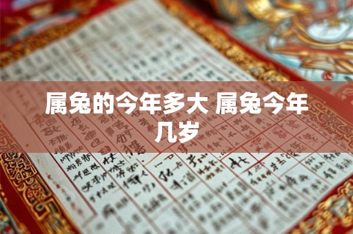 属兔的今年多大 属兔今年几岁