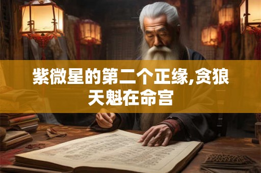 紫微星的第二个正缘,贪狼天魁在命宫