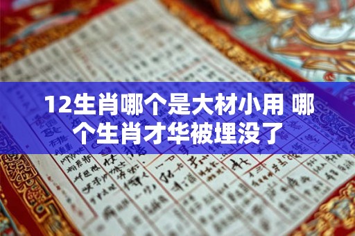 12生肖哪个是大材小用 哪个生肖才华被埋没了
