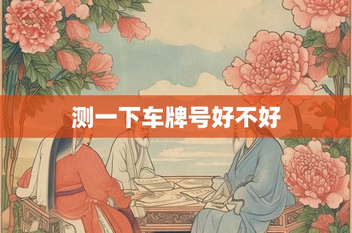 测一下车牌号好不好