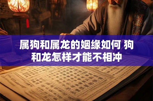 属狗和属龙的姻缘如何 狗和龙怎样才能不相冲