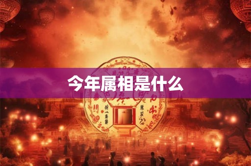 今年属相是什么 今年属相是什么