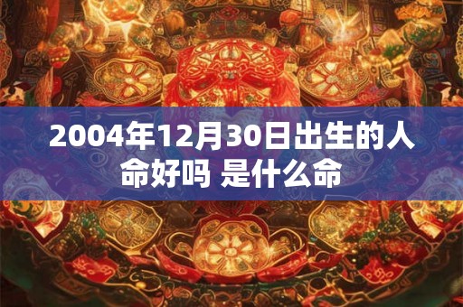2004年12月30日出生的人命好吗 是什么命