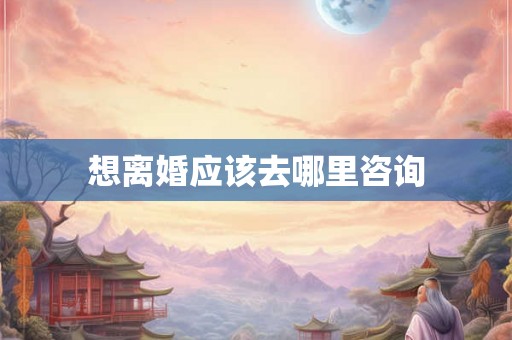想离婚应该去哪里咨询
