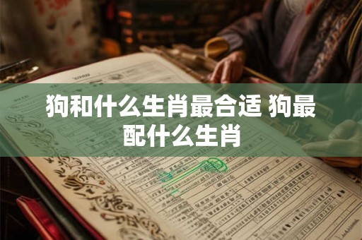 狗和什么生肖最合适 狗最配什么生肖