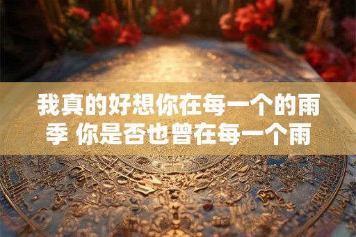 我真的好想你在每一个的雨季 你是否也曾在每一个雨季中想起我