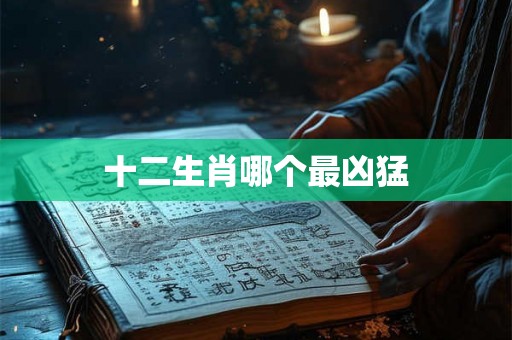 十二生肖哪个最凶猛