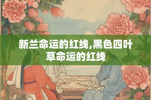新兰命运的红线,黑色四叶草命运的红线