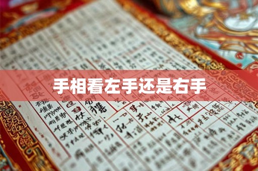 手相看左手还是右手