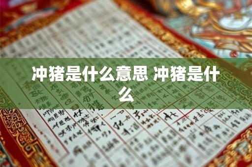 冲猪是什么意思 冲猪是什么 冲猪是什么意思 冲猪是什么