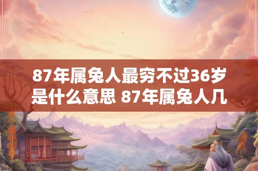 87年属兔人最穷不过36岁是什么意思 87年属兔人几岁会发财