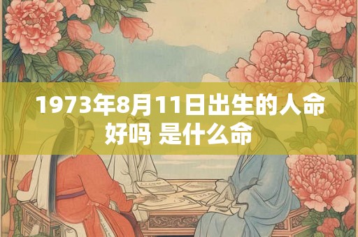 1973年8月11日出生的人命好吗 是什么命