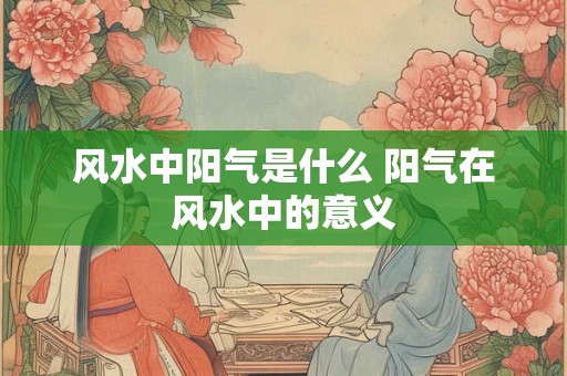 风水中阳气是什么 阳气在风水中的意义 风水中阳气是什么 阳气在风水中的意义