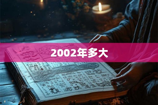 2002年多大
