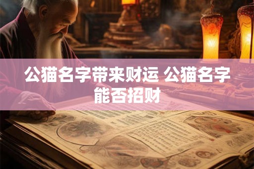 公猫名字带来财运 公猫名字能否招财 公猫名字带来财运 公猫名字能否招财