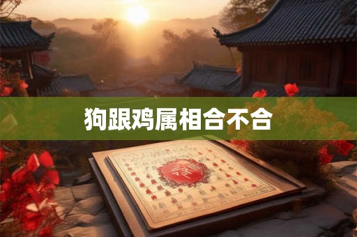狗跟鸡属相合不合 狗跟鸡属相合不合