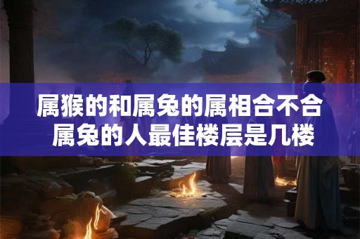 属猴的和属兔的属相合不合 属兔的人最佳楼层是几楼