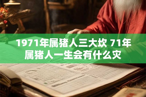 1971年属猪人三大坎 71年属猪人一生会有什么灾