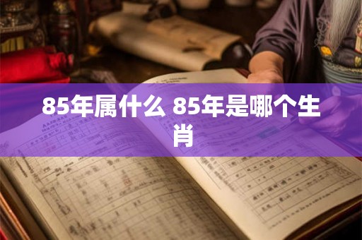 85年属什么 85年是哪个生肖 85年属什么 85年是哪个生肖