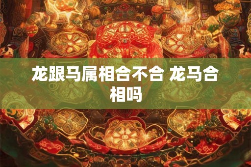 龙跟马属相合不合 龙马合相吗
