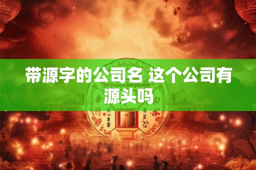 带源字的公司名 这个公司有源头吗