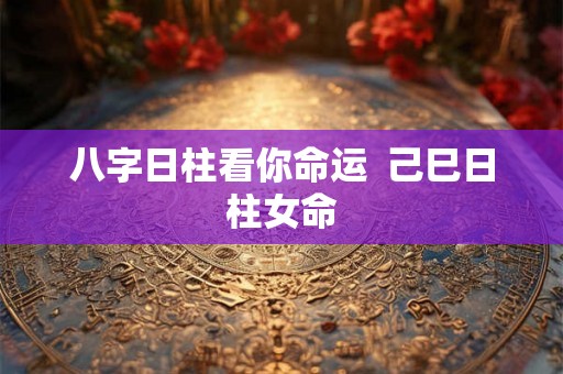 八字日柱看你命运  己巳日柱女命