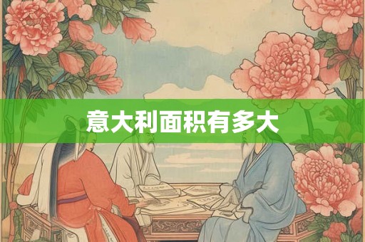 意大利面积有多大