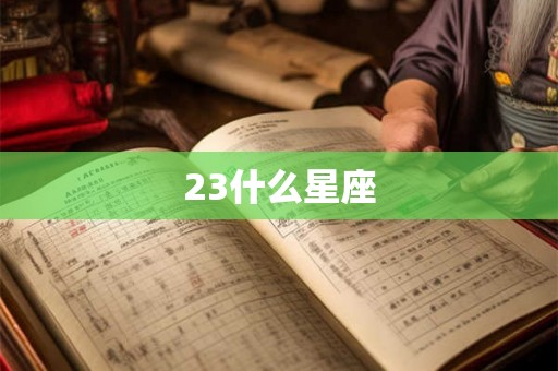 23什么星座