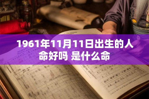 1961年11月11日出生的人命好吗 是什么命