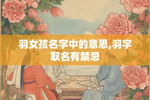 羽女孩名字中的意思,羽字取名有禁忌