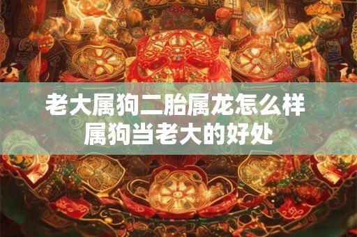老大属狗二胎属龙怎么样 属狗当老大的好处 老大属狗二胎属龙怎么样 属狗当老大的好处
