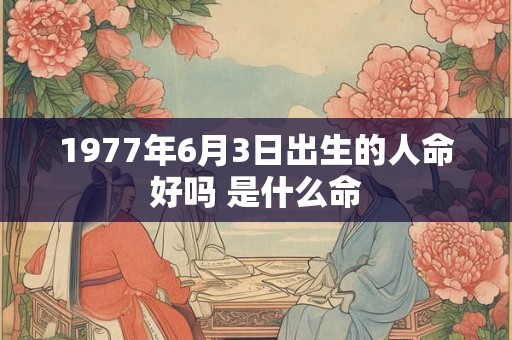 1977年6月3日出生的人命好吗 是什么命