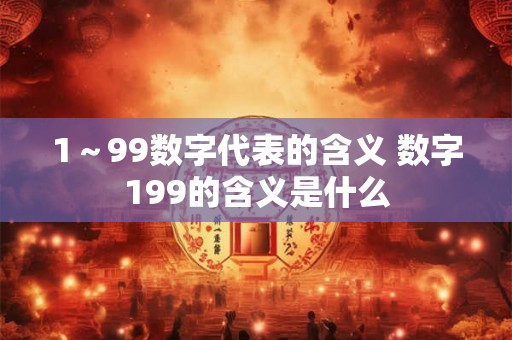 1～99数字代表的含义 数字199的含义是什么