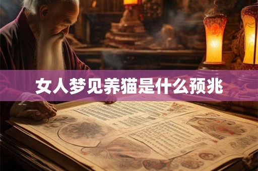 女人梦见养猫是什么预兆