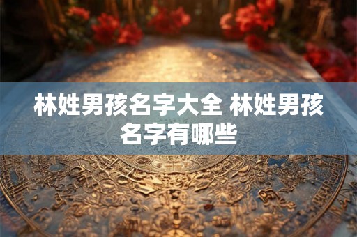 林姓男孩名字大全 林姓男孩名字有哪些 林姓男孩名字大全 林姓男孩名字有哪些