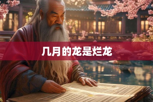 几月的龙是烂龙