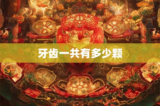 牙齿一共有多少颗