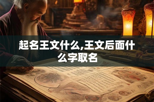 起名王文什么,王文后面什么字取名