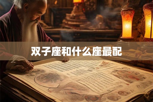 双子座和什么座最配
