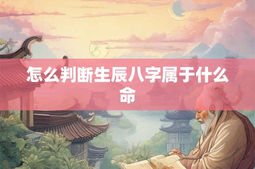 怎么判断生辰八字属于什么命