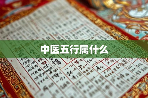 中医五行属什么