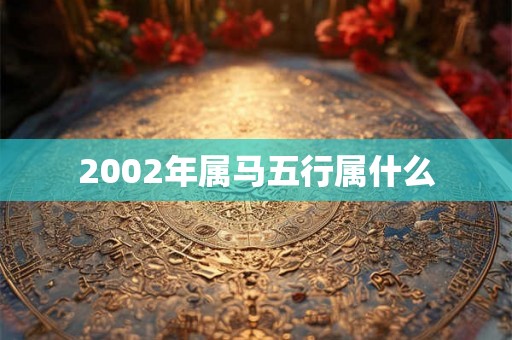 2002年属马五行属什么