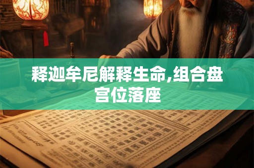 释迦牟尼解释生命,组合盘宫位落座 释迦牟尼解释生命,组合盘宫位落座